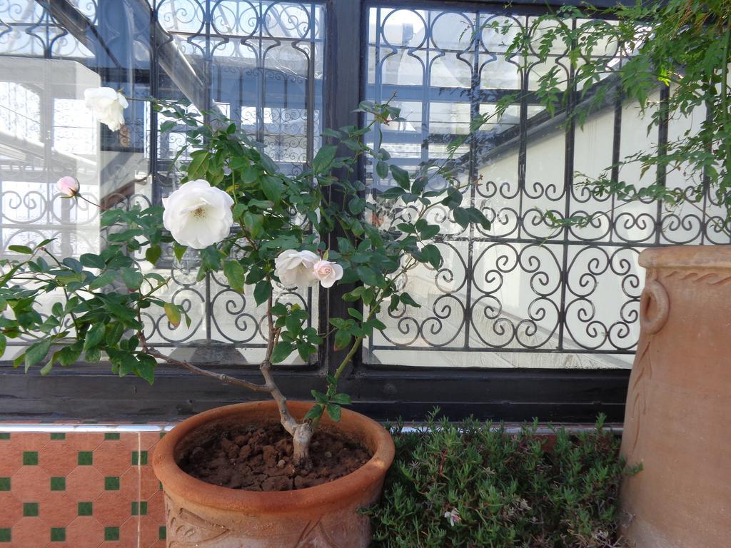 Riad Mouna Marraquexe Exterior foto